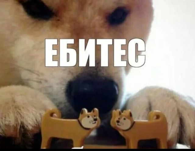 Охрана слиплась