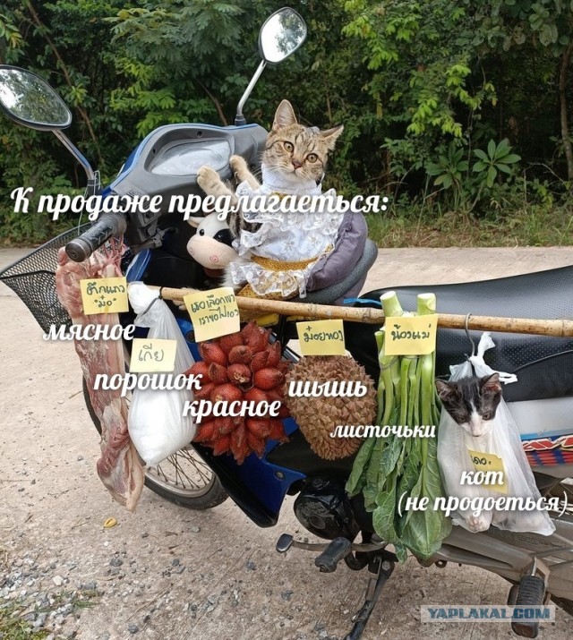 Ещё немного, и он продаст арбуз