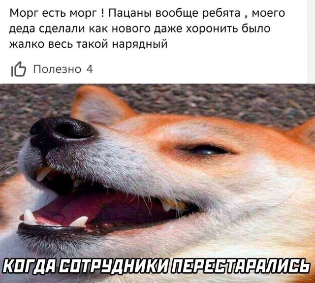 Отвал башки в конце января