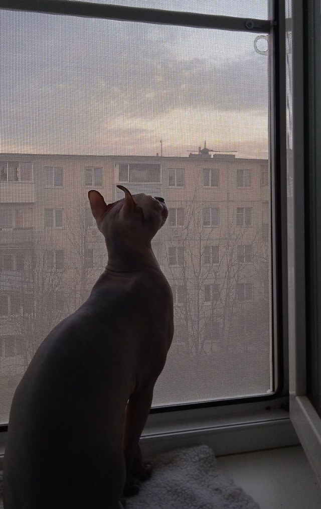 Дуська
