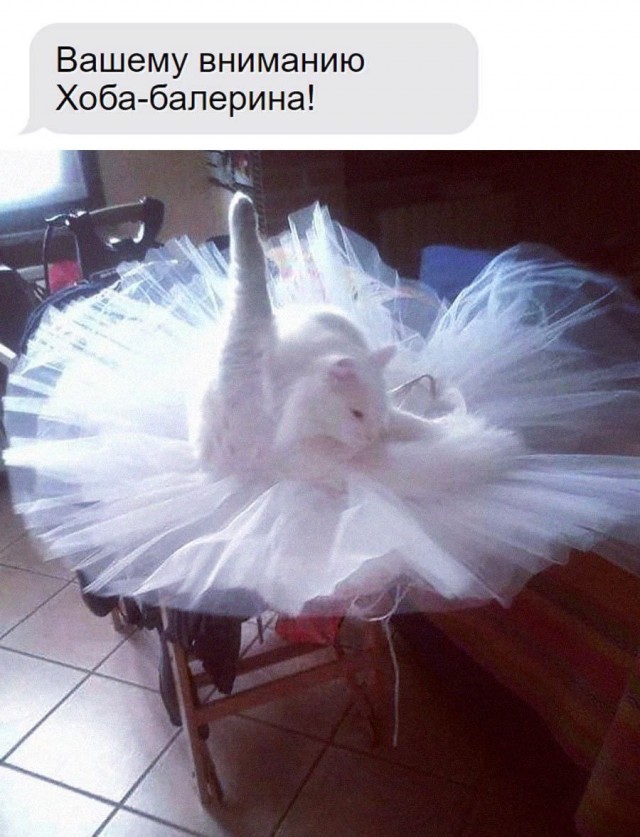 Никакие картинки и такие же тексты