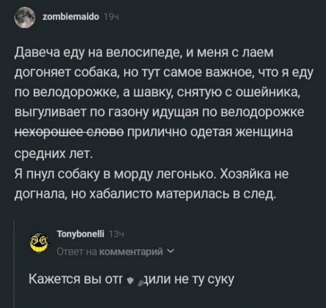 Весёлый полтишок 10.06.24