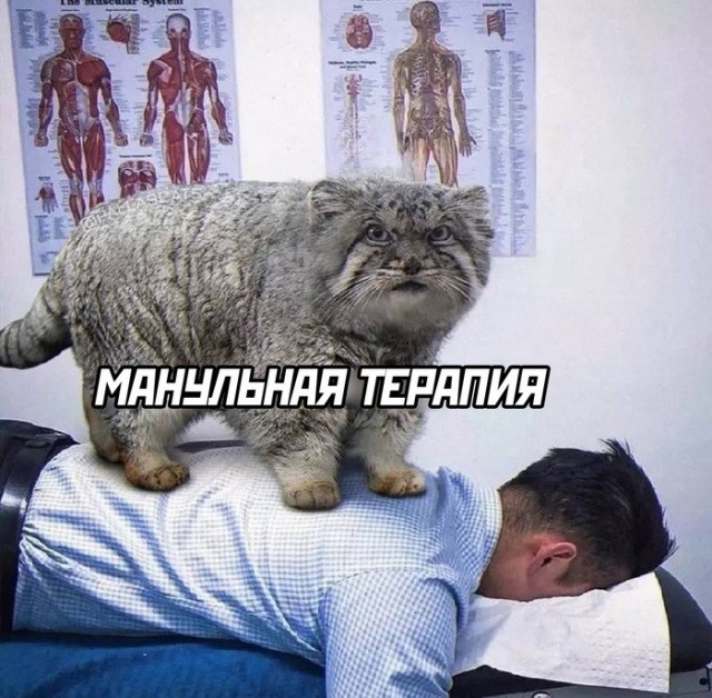 Чуток картинок