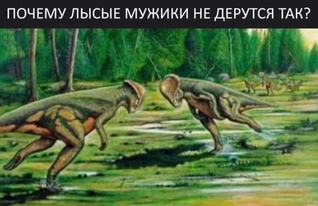 Так себе картинки 15.07.24
