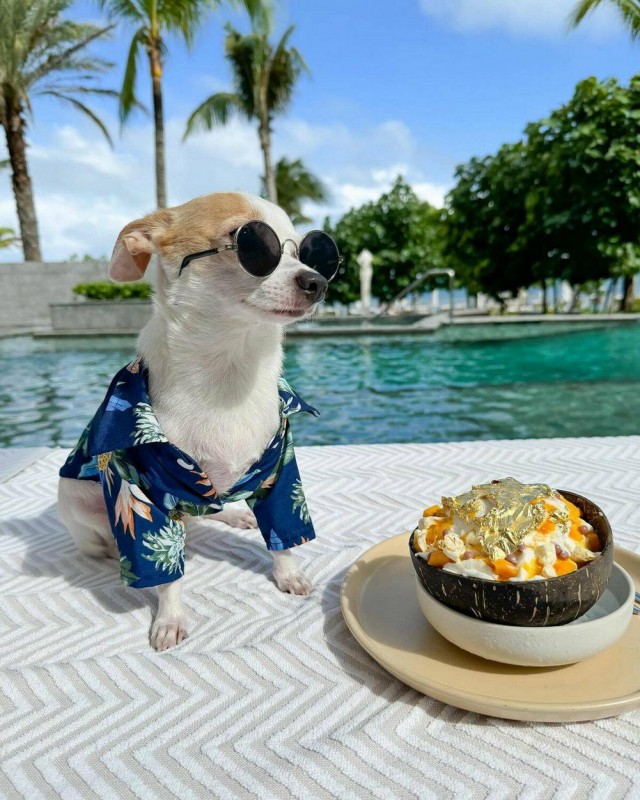 Прикольные и просто красивые картинки 12.11.2024