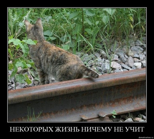 Джонни Депп собирается жениться на русской модели Юлии Власовой