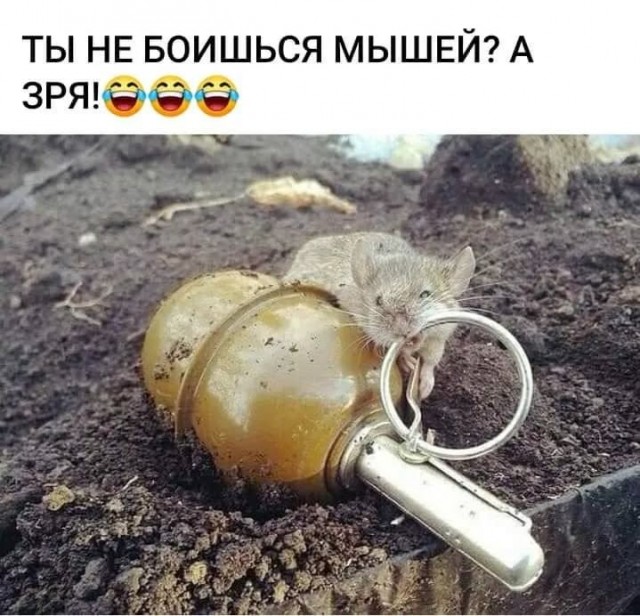 Завалялось тут случайно немного забавных картинок