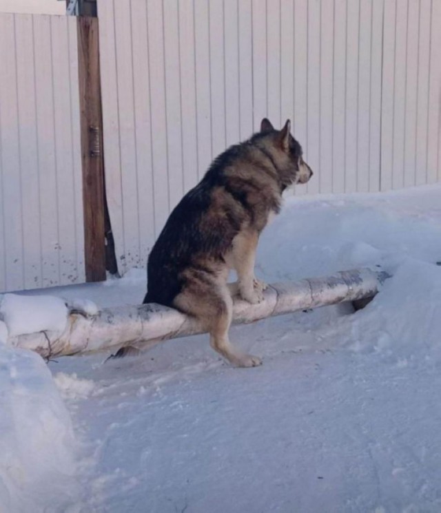 Прикольные и просто красивые картинки 04.12.2024