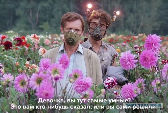 Так себе картинки 08.12.24