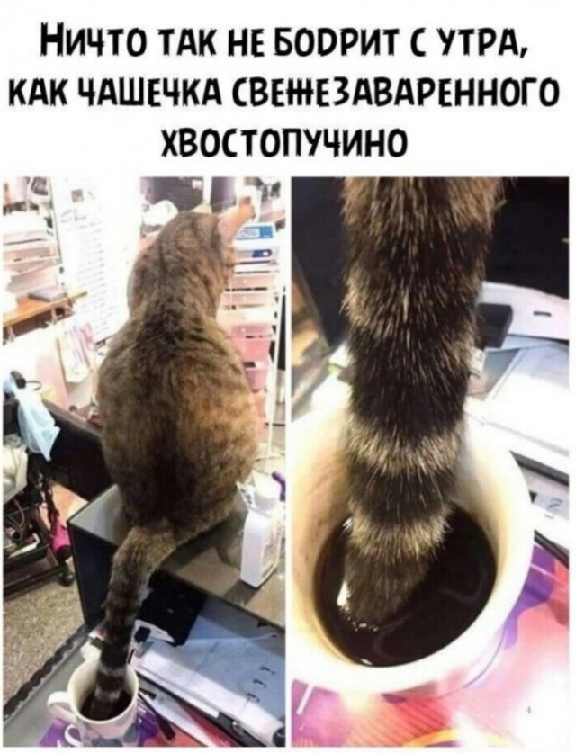 Картинки выходного дня