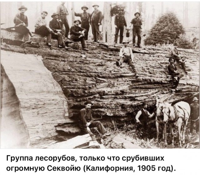 Фотографии о прошлом, открывающие историю с новой стороны 17.07.25