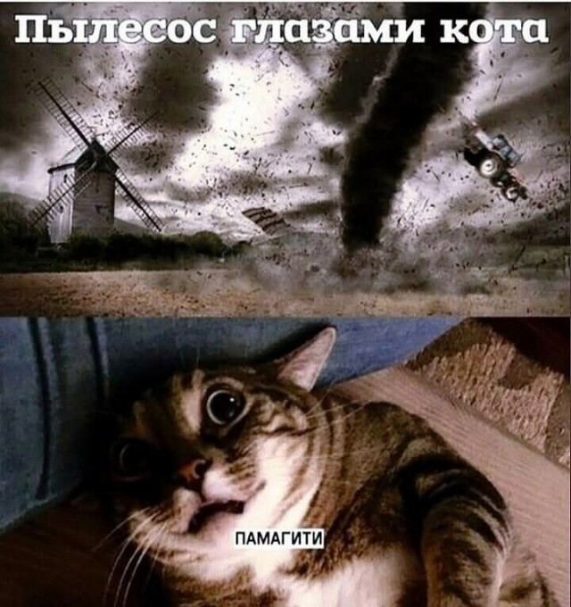 Картинки для деградации 39 (разной степени свежести)