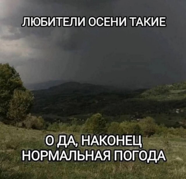20399458.jpg