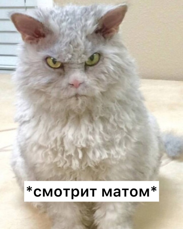 Мат делает человека выносливее