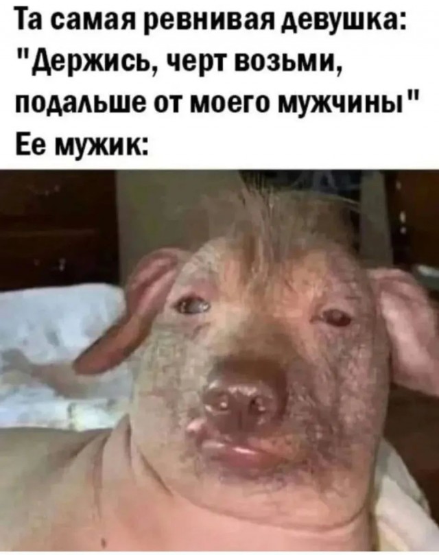 Воскресные картинки