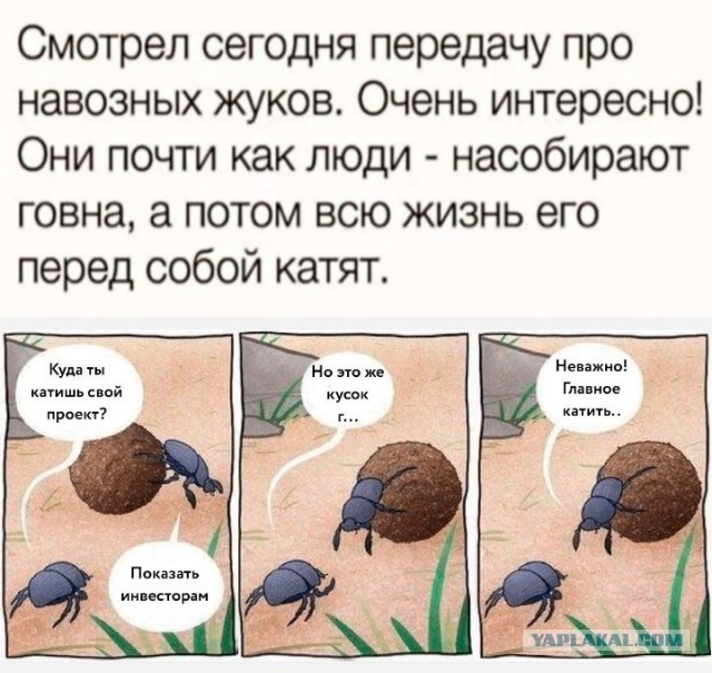 Египетское
