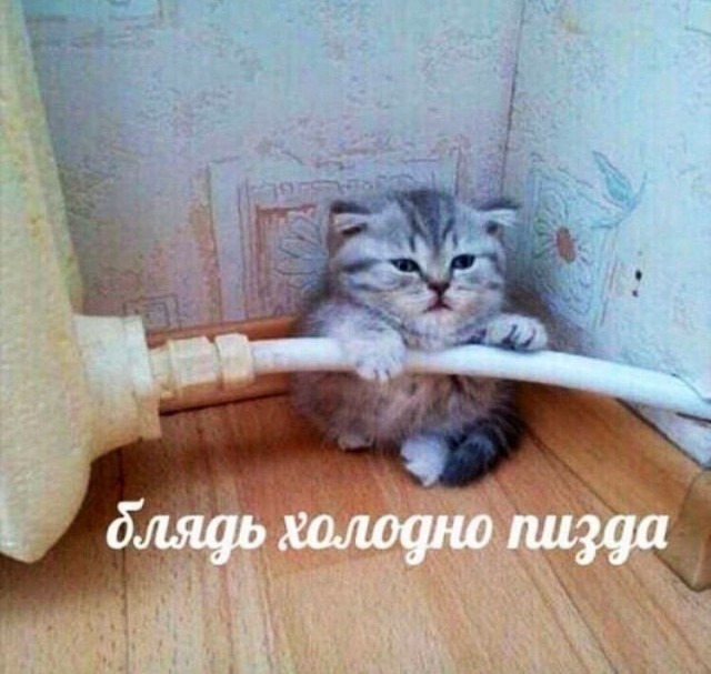 Картинки для деградации 133 (разной степени свежести)