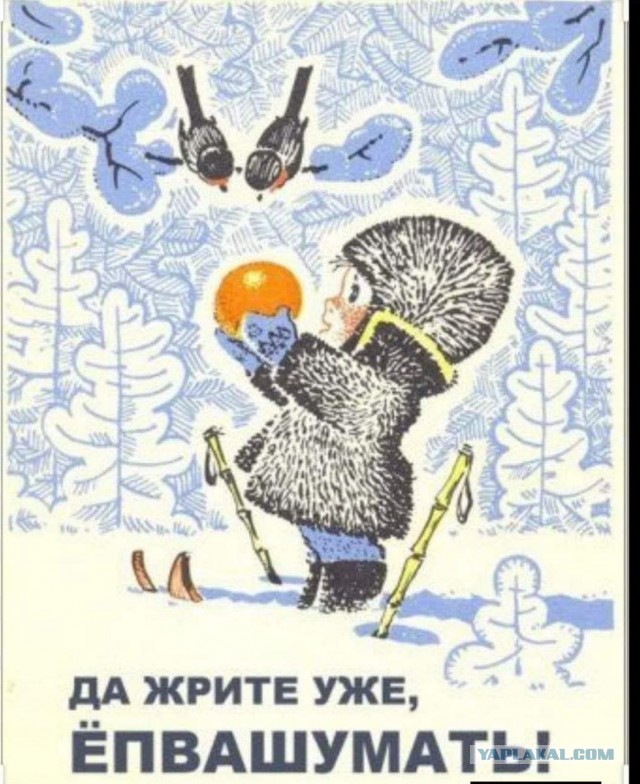 Птица, ешь!