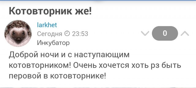 Котовторник же!