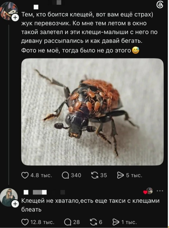 Жук-такси