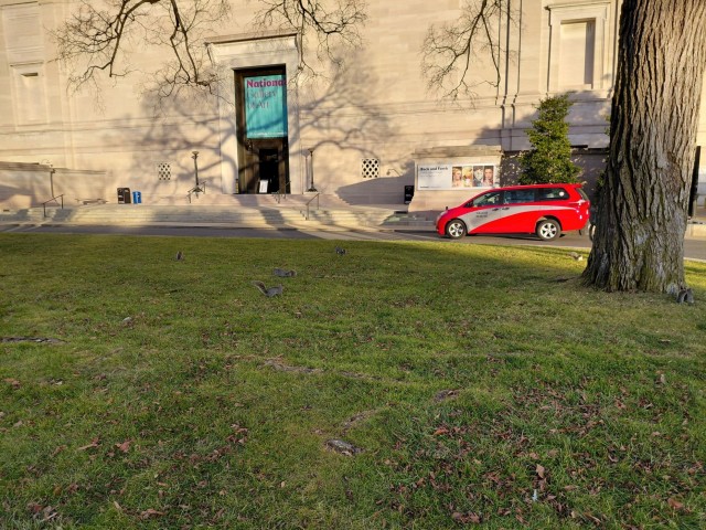 Как я ездил в Вашингтон и Нью-Йорк. ч. 1