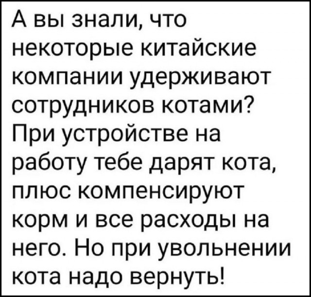 Так себе картинки 16.07.26