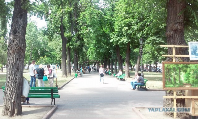 Одессе 232