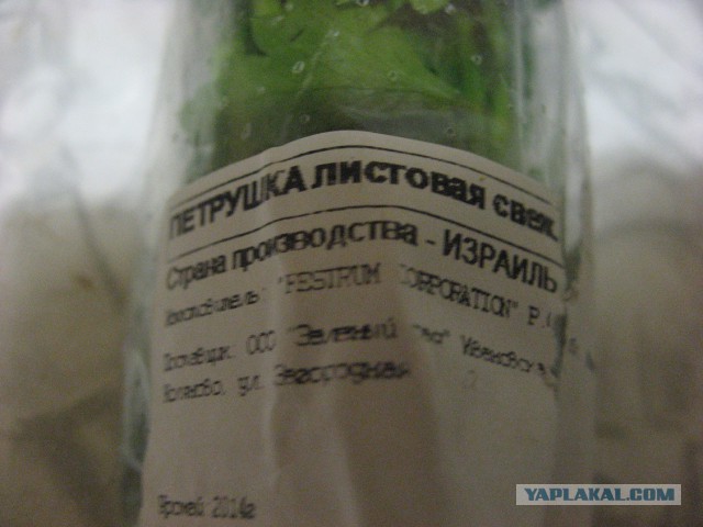 Мы не сеем и не пашем...
