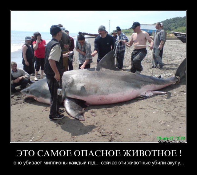 Животные, которые убивают людей