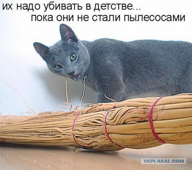 Капля позитива
