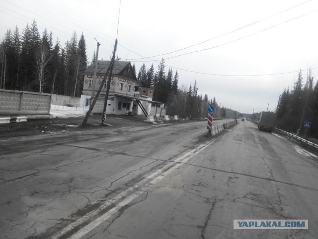 Озеленение Владивостока.