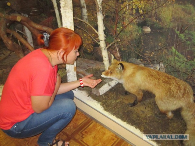 Про яму и лису