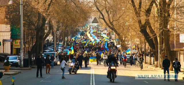 И снова сербы, в поддержку России.