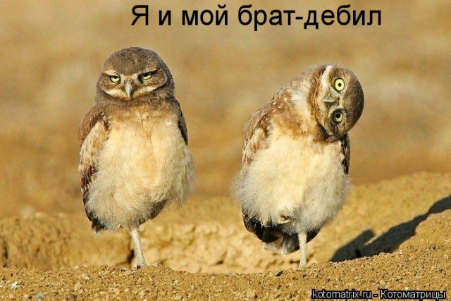 Лоб Хоакина Феникса