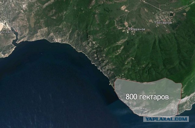Вырубка можжевелого леса в Крыму