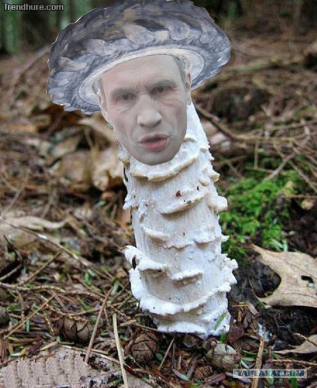 Шедевр