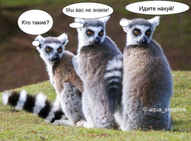 США сожалеют о принятом властями РФ решении