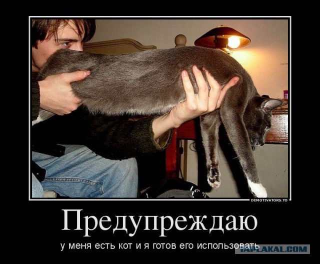 Картинки с инета.