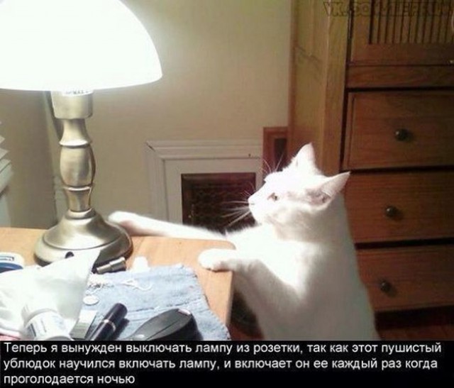 Моя подборка веселенькой мути