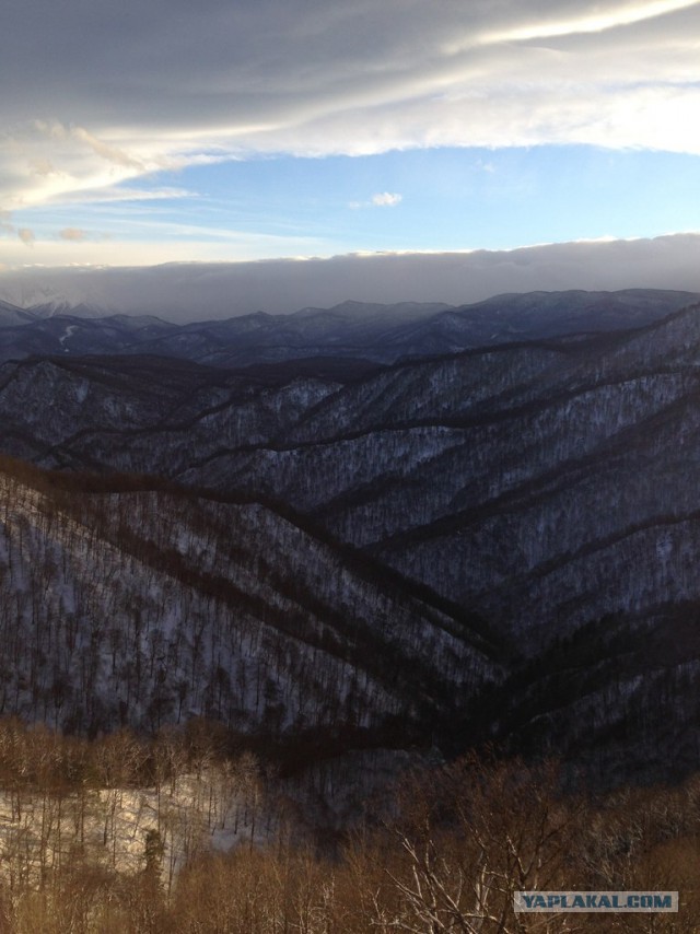Лучшее фото этой недели