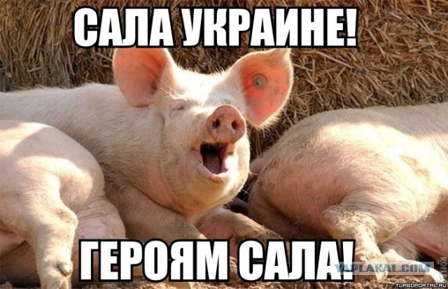 что там у хохлов?