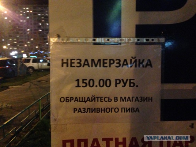 50 прикольных картинок из сети на понедельник