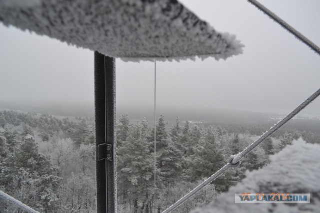 Я узнал, что у меня есть огромная семья