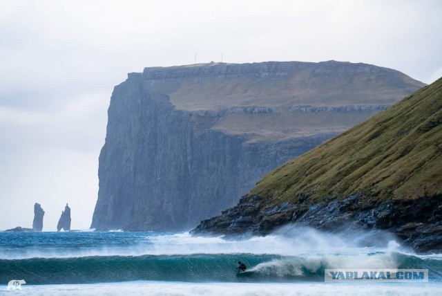 Подборка картинок 24.02.16