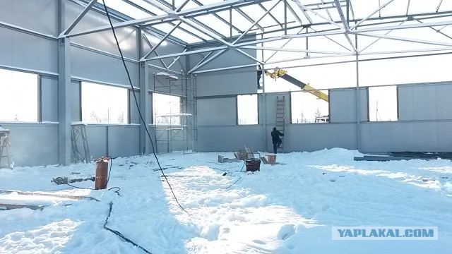 Это мне так не везет ?