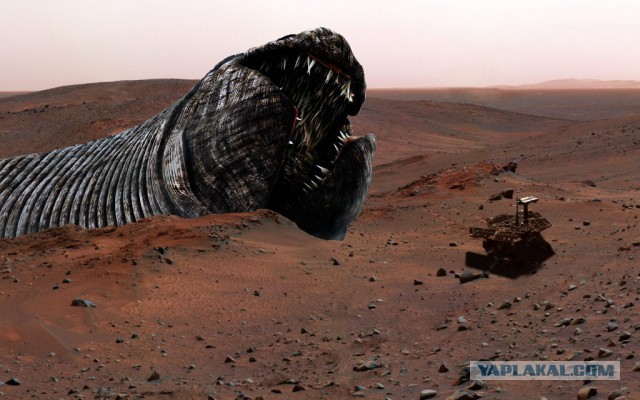 Получены первые цветные фото марсианских скал с зонда Curiosity.