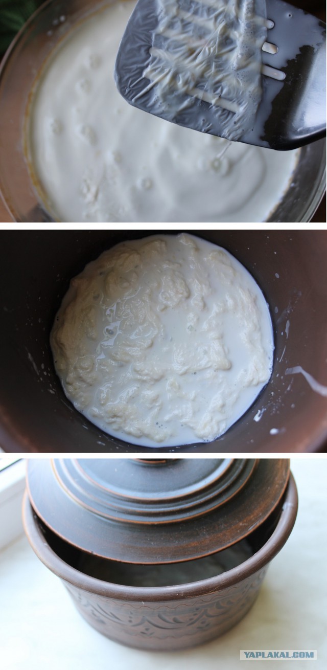 Мировая кулинария. День повара