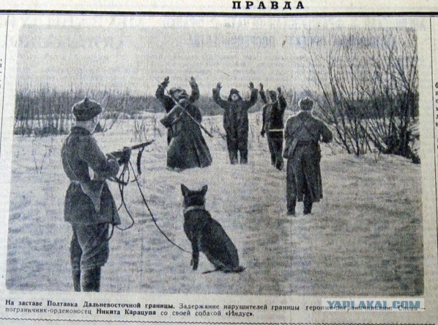 Сказка о невинно оклеветанных гражданах