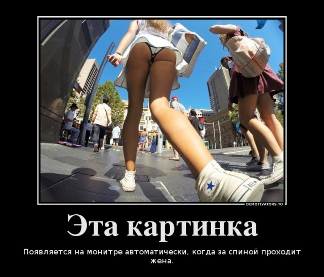 Смешные картинки
