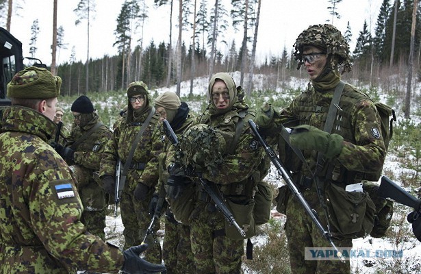 Военная хитрость эстонцев .